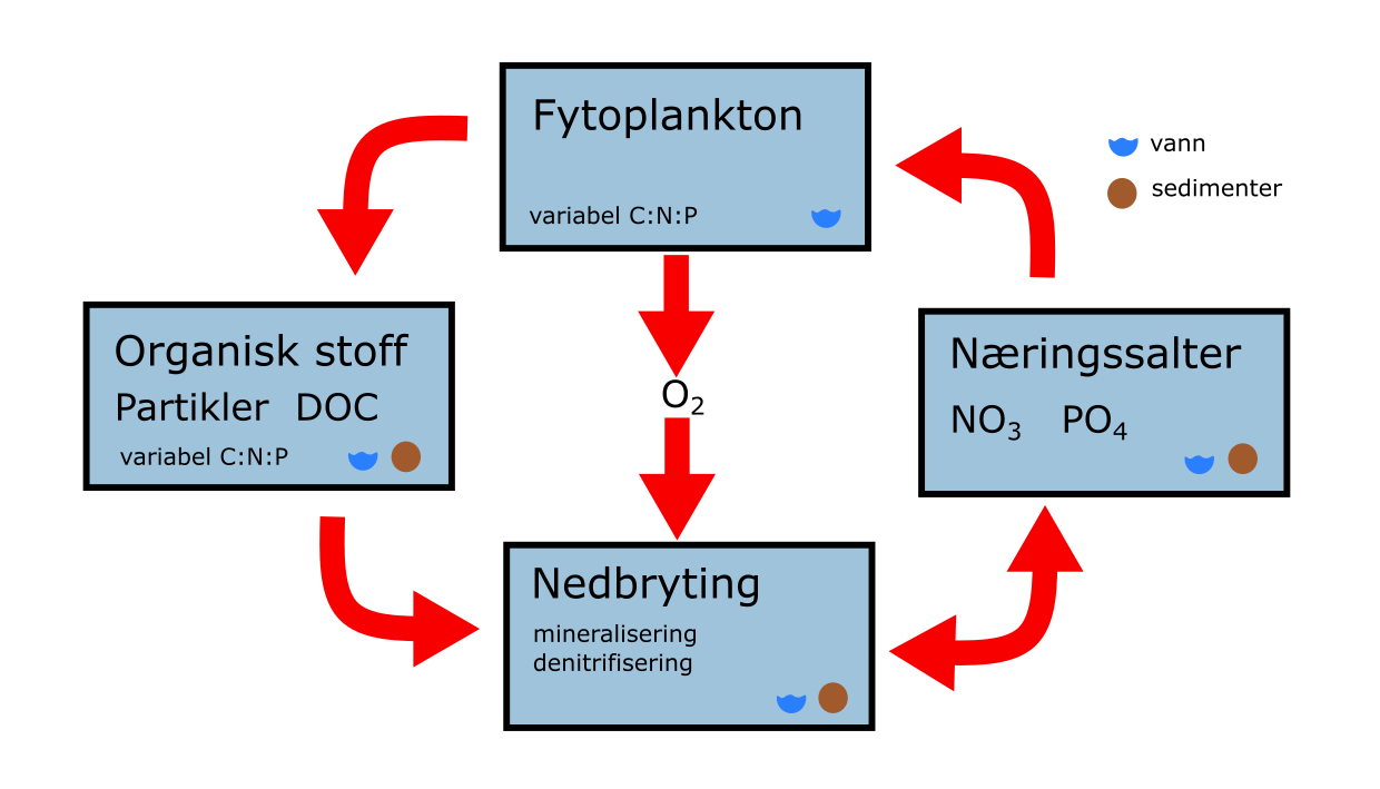 NIVAFjord biochemistry