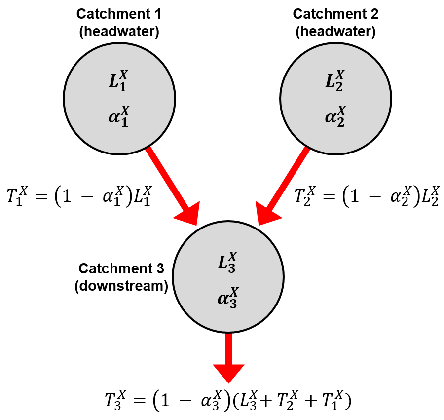 Model schematic